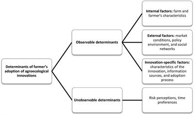 Linking farmers’ perceptions and management decision toward sustainable agroecological transition: evidence from rural Tunisia